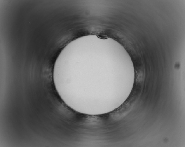 X0000103330666200809261202