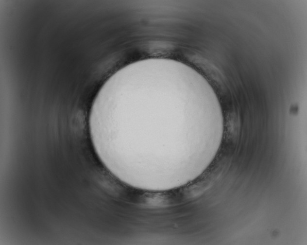 X0000103330667200809261202