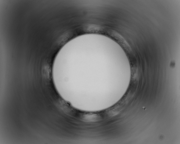 X0000103330669200809261202