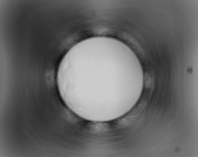 X0000103330670200809261202