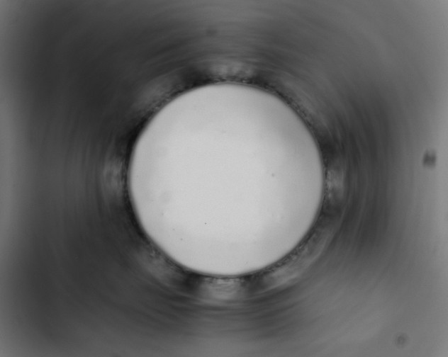 X0000103330671200809261202