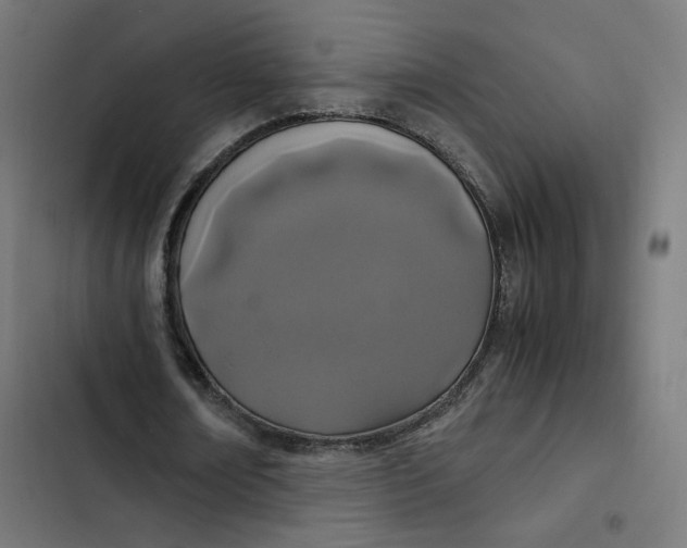 X0000103330674200809261201