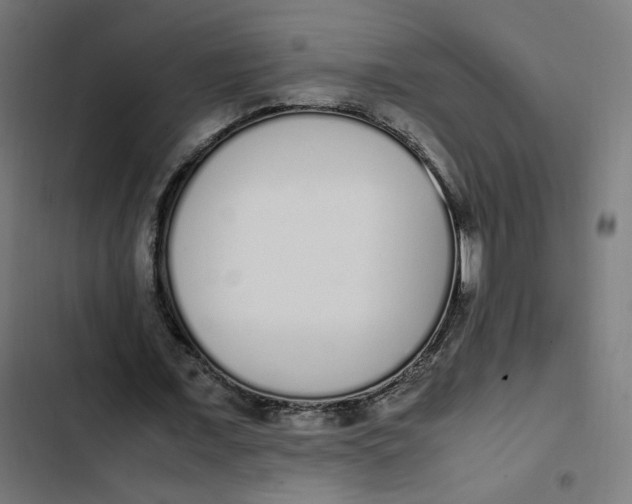 X0000103330675200809261201