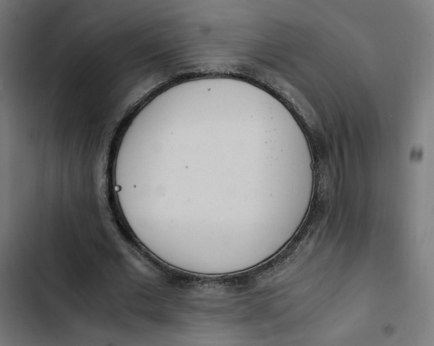 X0000103330677200809261201