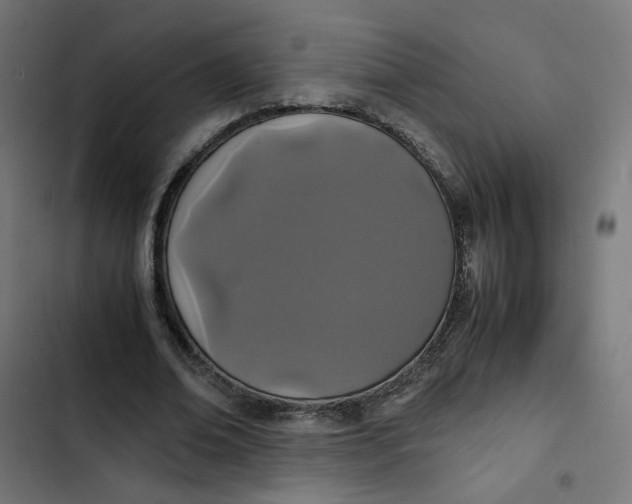 X0000103330678200809261201