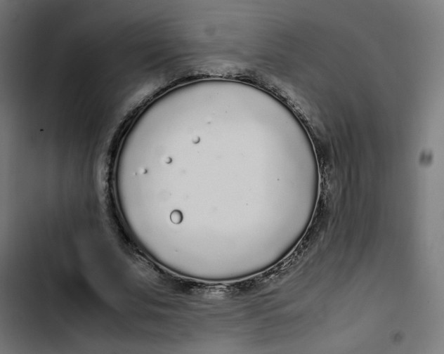 X0000103330679200809261201