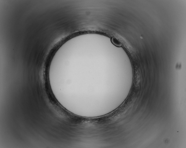 X0000103330680200809261201