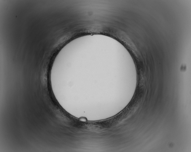 X0000103330681200809261201