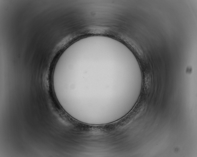 X0000103330682200809261201