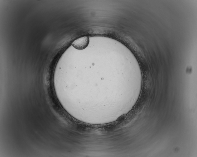 X0000103330683200809261201