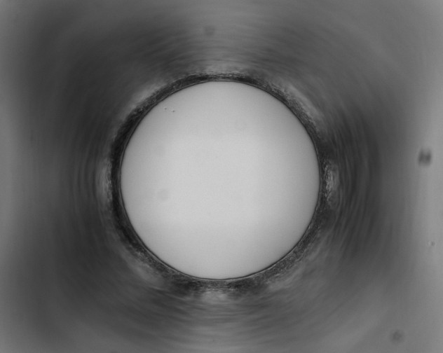 X0000103330684200809261201