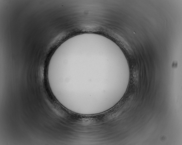 X0000103330686200809261201