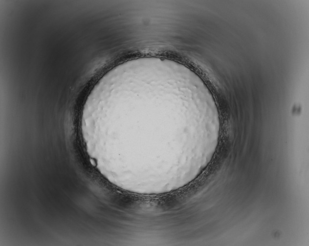 X0000103330687200809261201