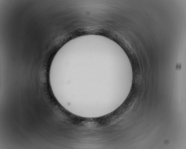 X0000103330689200809261201