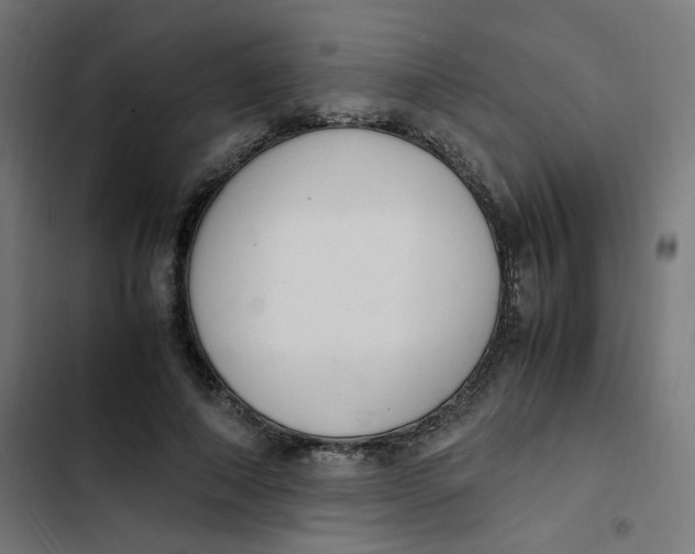 X0000103330690200809261201