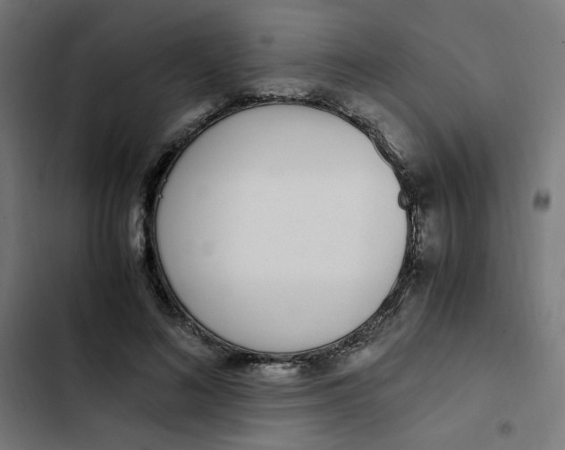 X0000103330692200809261201