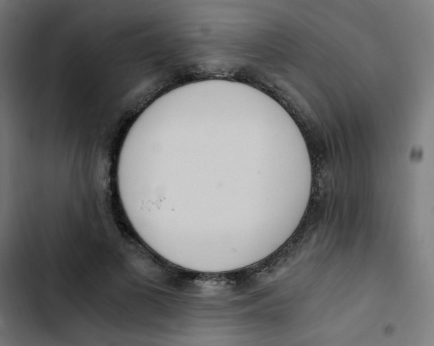 X0000103330693200809261201