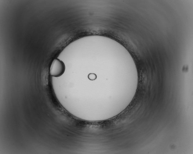 X0000103330694200809261201