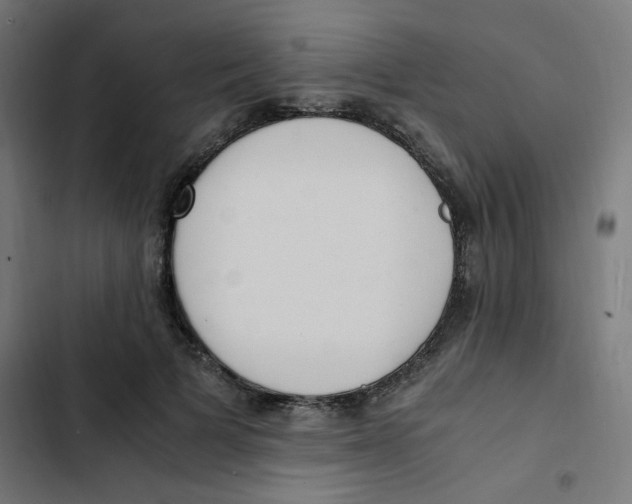 X0000103330697200809261201