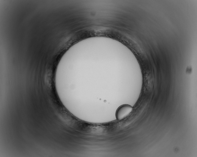 X0000103330698200809261201