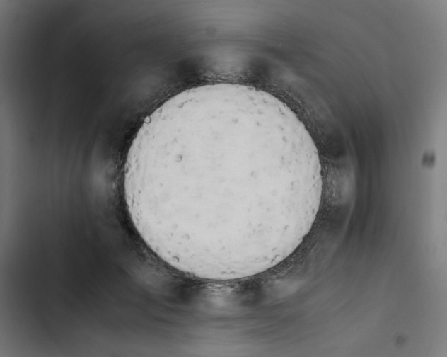 X0000103330701200809261201