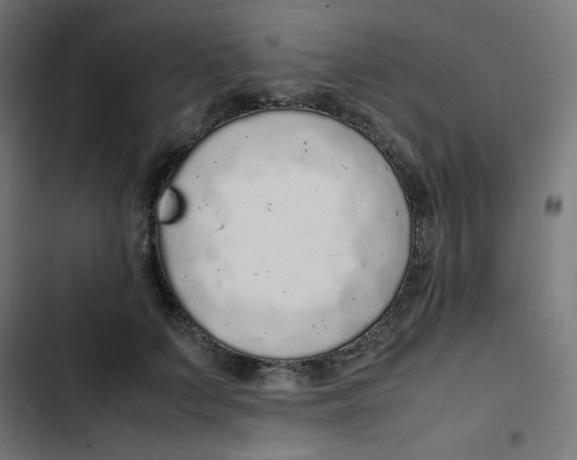 X0000103330703200809261201