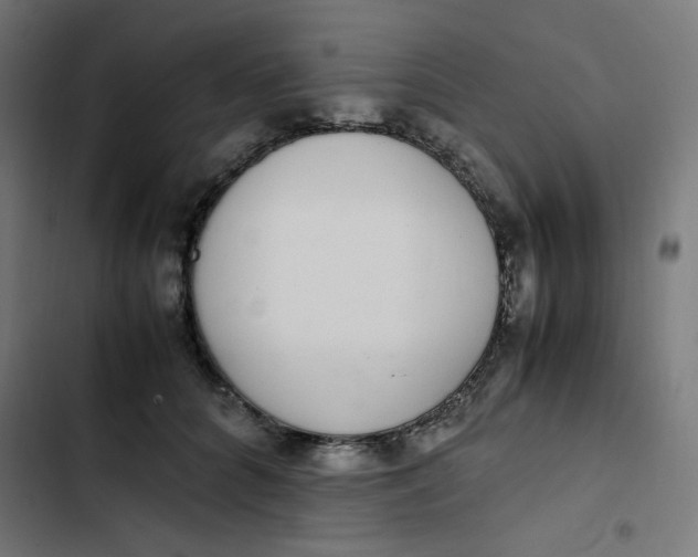 X0000103330704200809261201