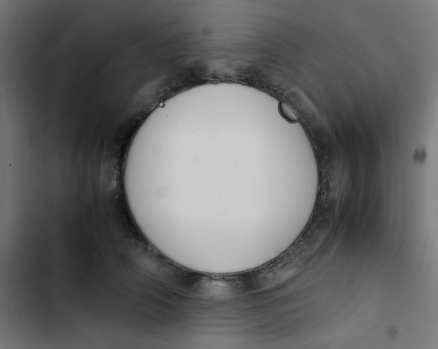 X0000103330706200809261201