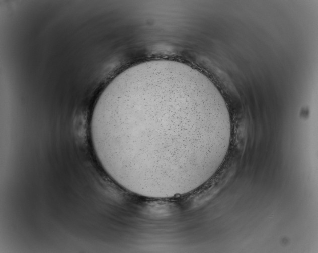 X0000103330708200809261201