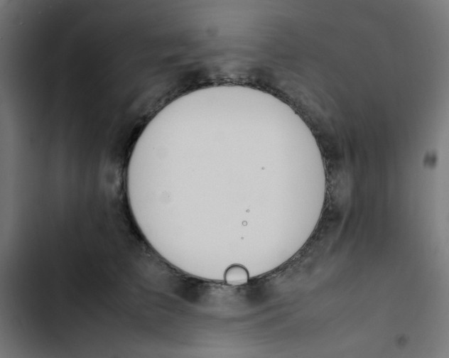 X0000103330709200809261201