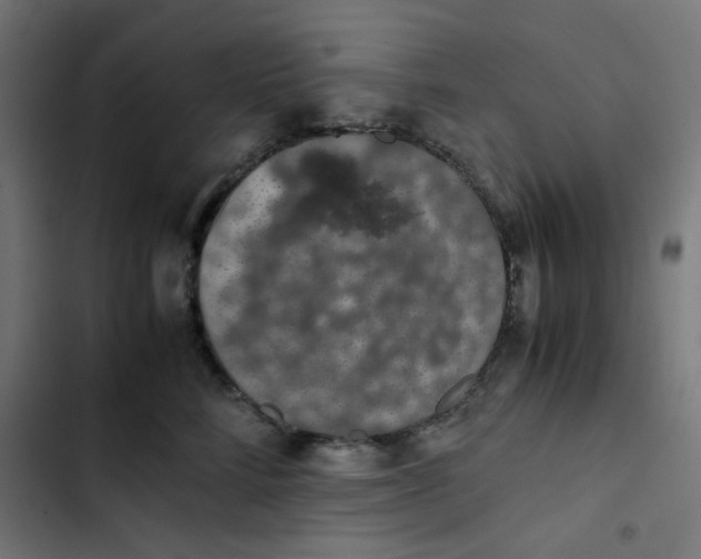 X0000103330712200809261201