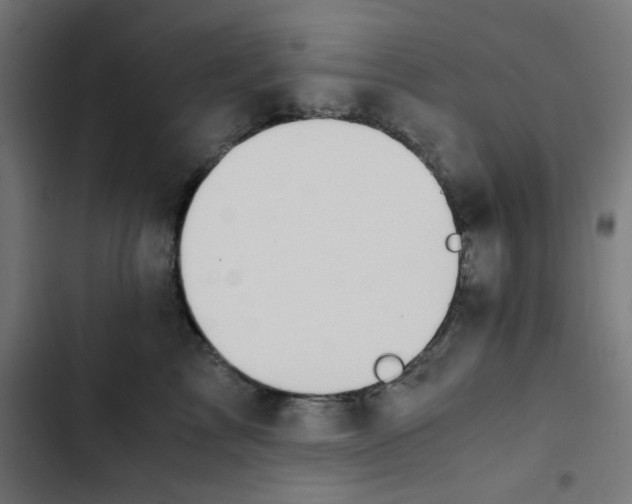 X0000103330713200809261201