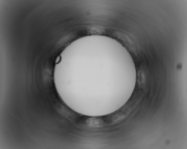 X0000103330714200809261201