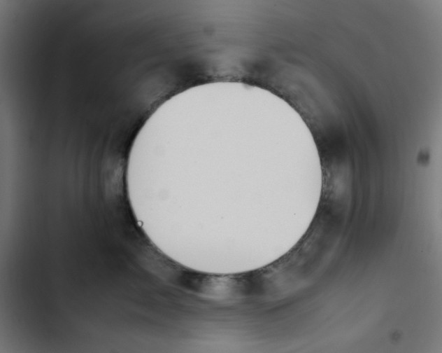 X0000103330717200809261201