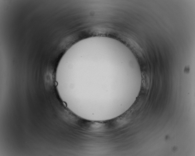 X0000103330718200809261201