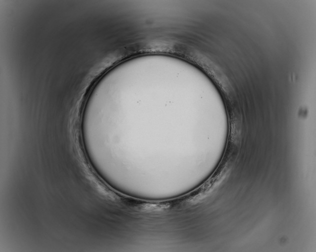 X0000103330721200809261200