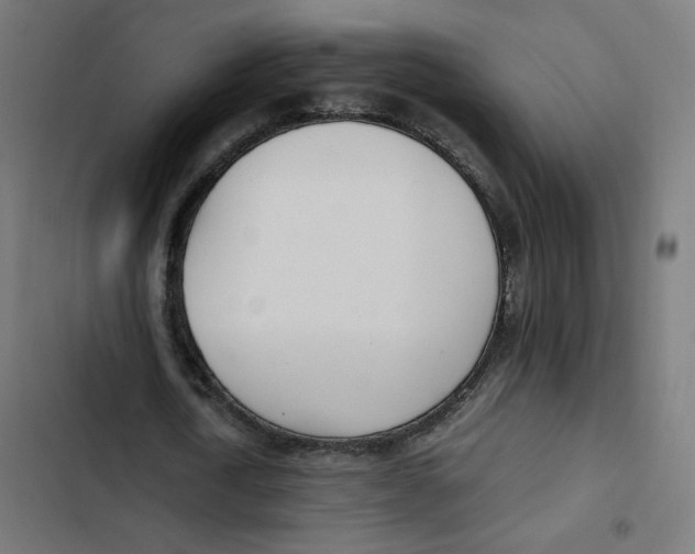 X0000103330722200809261200