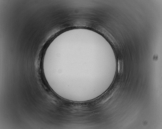 X0000103330723200809261200