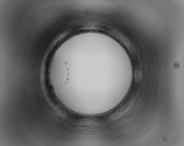 X0000103330724200809261200