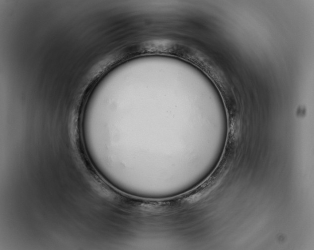 X0000103330725200809261200