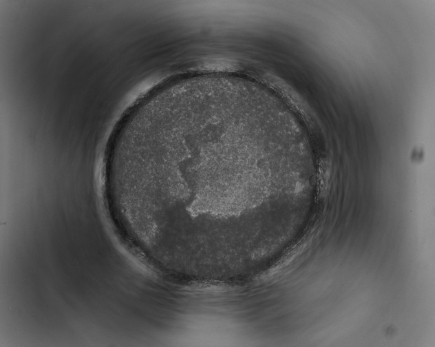 X0000103330726200809261200