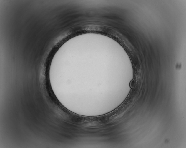 X0000103330727200809261200