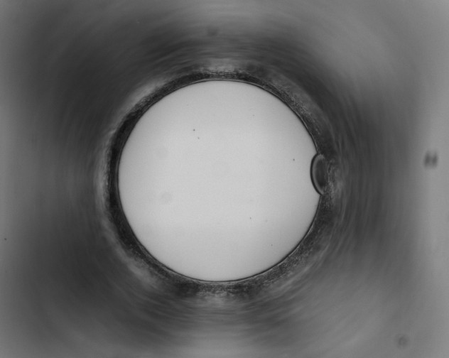 X0000103330728200809261200