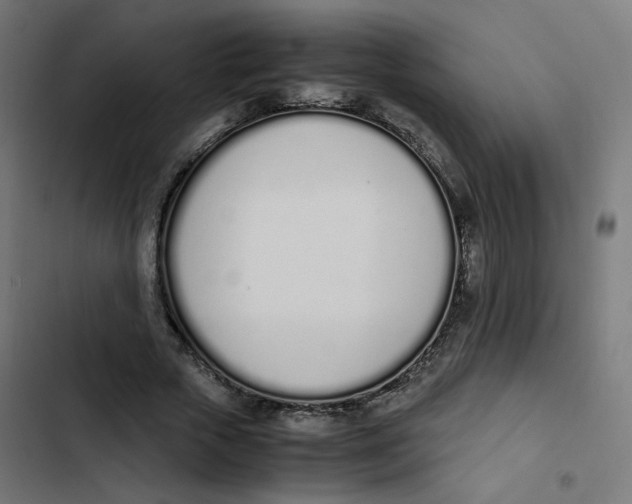 X0000103330729200809261200