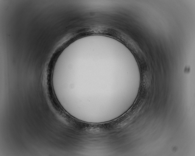 X0000103330730200809261200