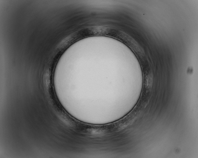 X0000103330733200809261200