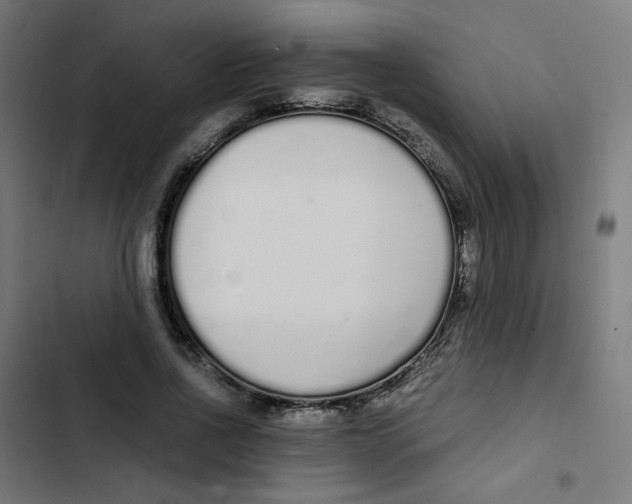 X0000103330734200809261200