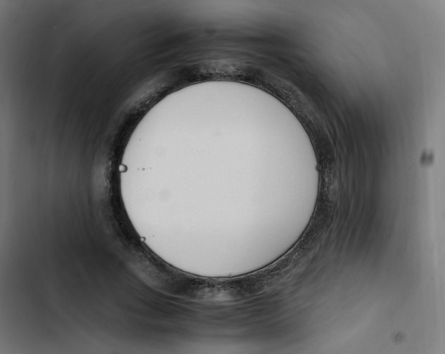 X0000103330735200809261200