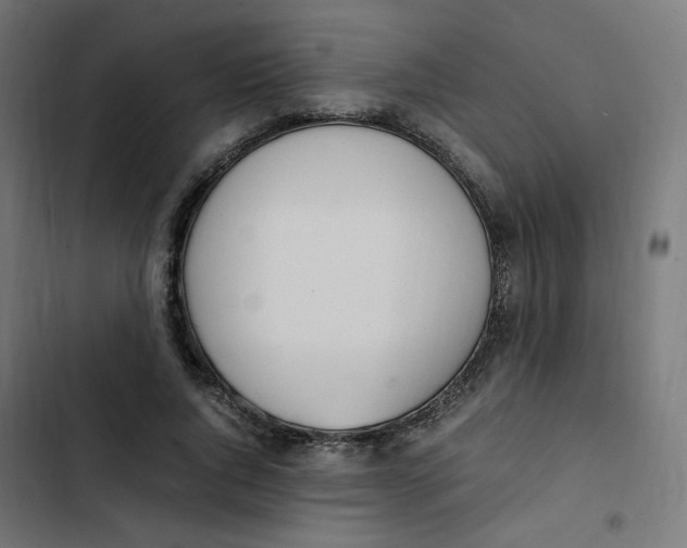 X0000103330736200809261200