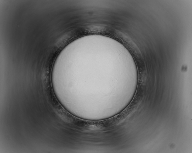 X0000103330737200809261200